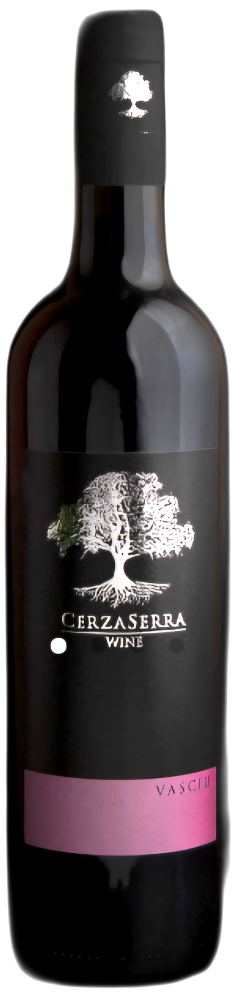 Screenshot 2024-01-25 154841