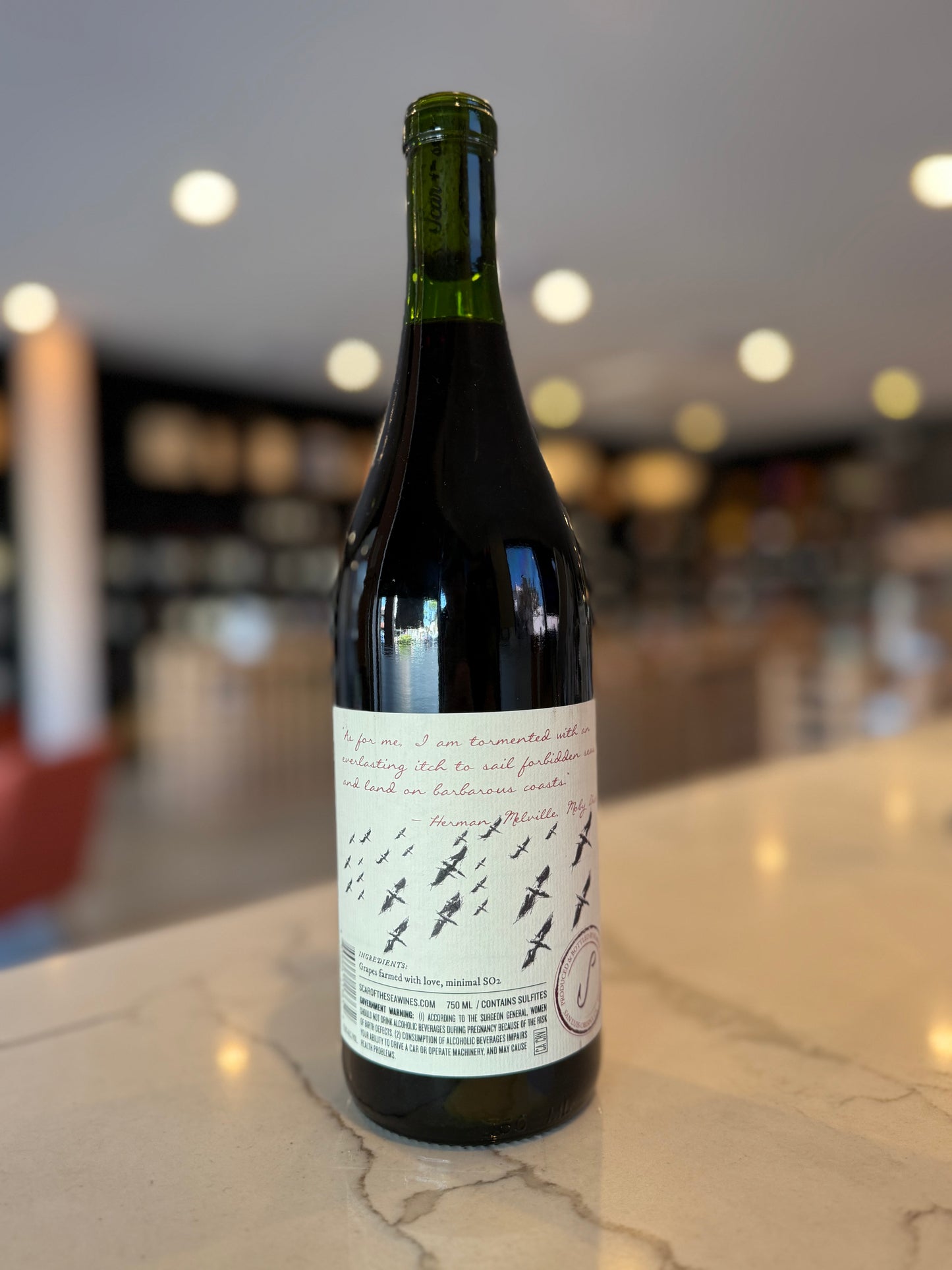 2024 Scar of the Sea Pinot Noir SLO Coast Wine