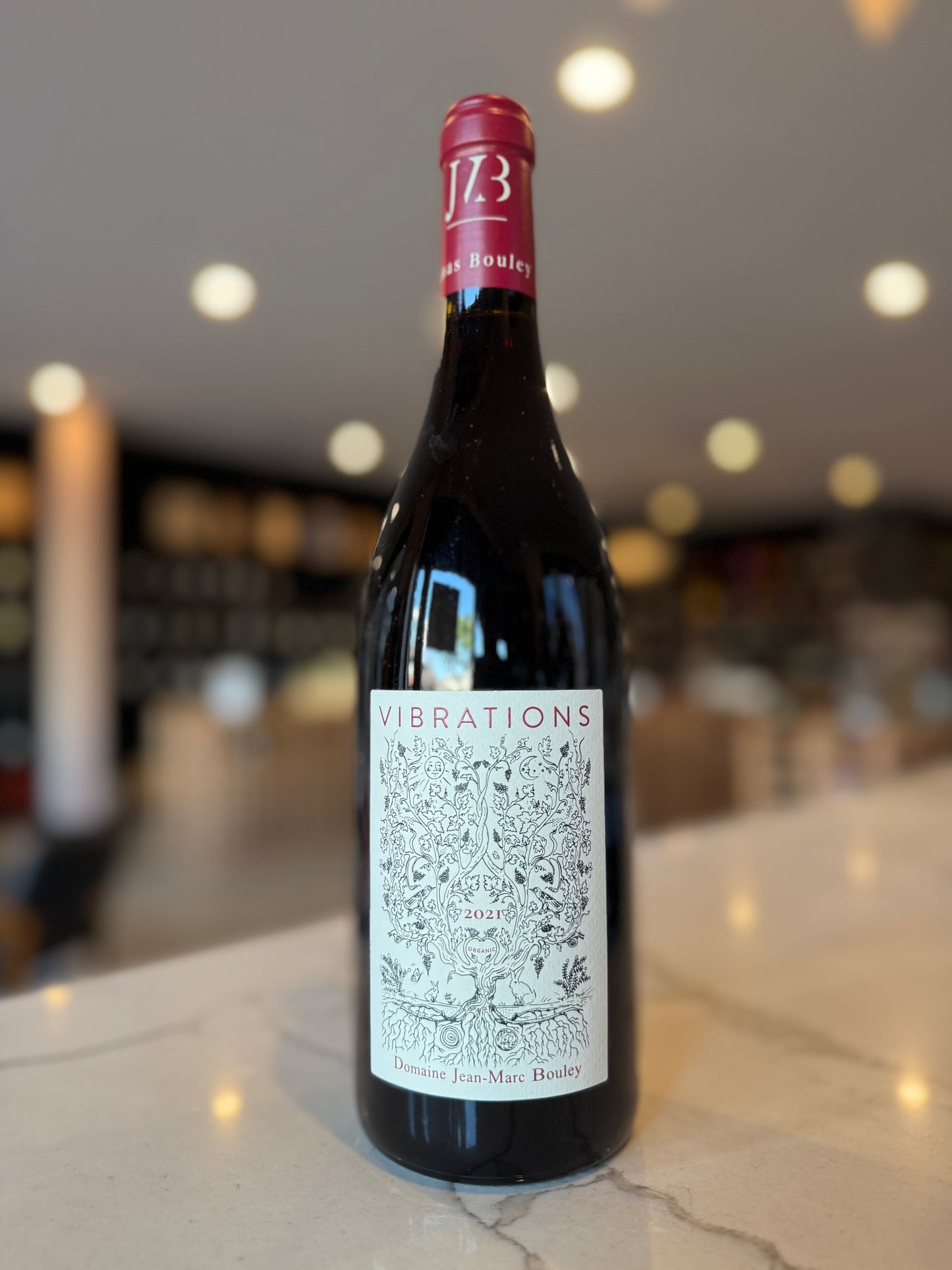 2021 Domaine Jean-Marc et Thomas Bouley Bourgogne Hautes Cotes de Beaune 'Vibrations',