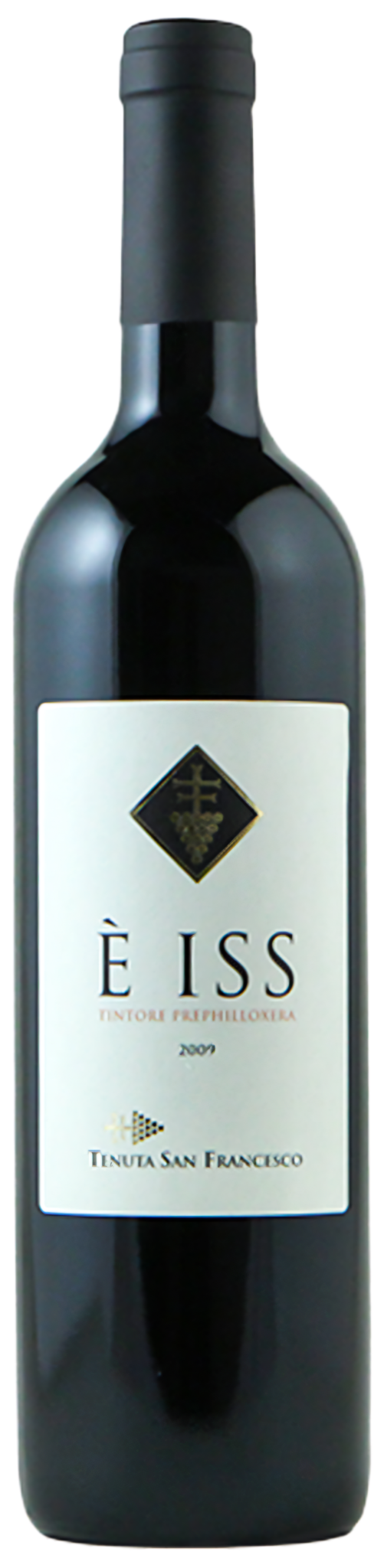 e-iss (1)